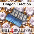 Dragon Erection 291