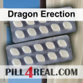 Dragon Erection 303