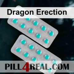 Dragon Erection 343