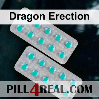 Dragon Erection 343