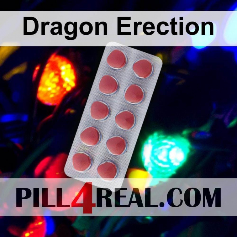 Dragon Erection 393