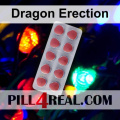 Dragon Erection 393