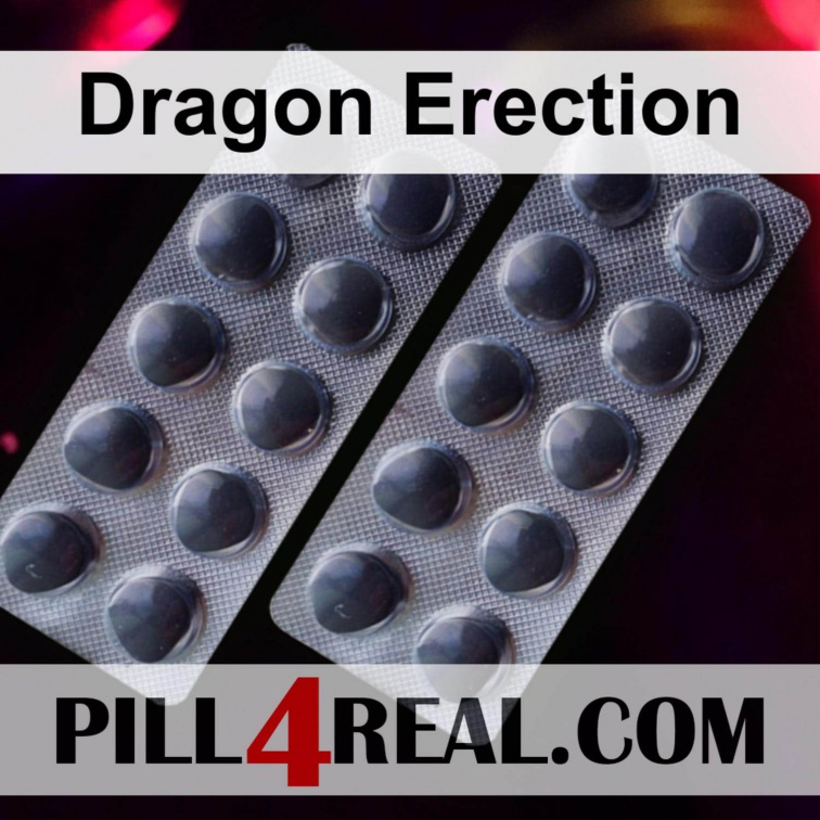 Dragon Erection 431