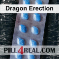 Dragon Erection 467