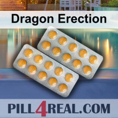 Dragon Erection 494