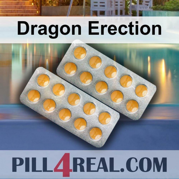 Dragon Erection 494
