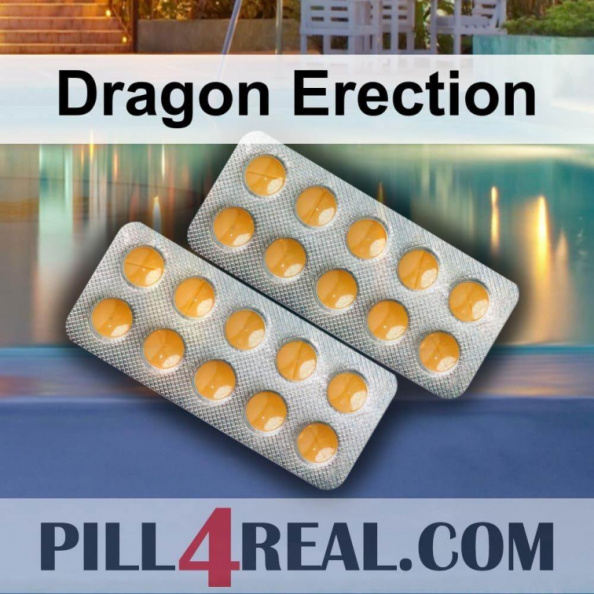 Dragon Erection 494