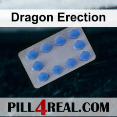 Dragon Erection 502
