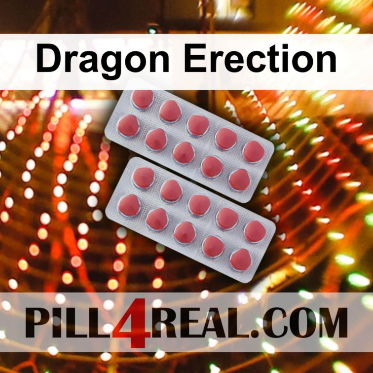 Dragon Erection 507