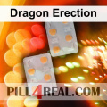 Dragon Erection 533