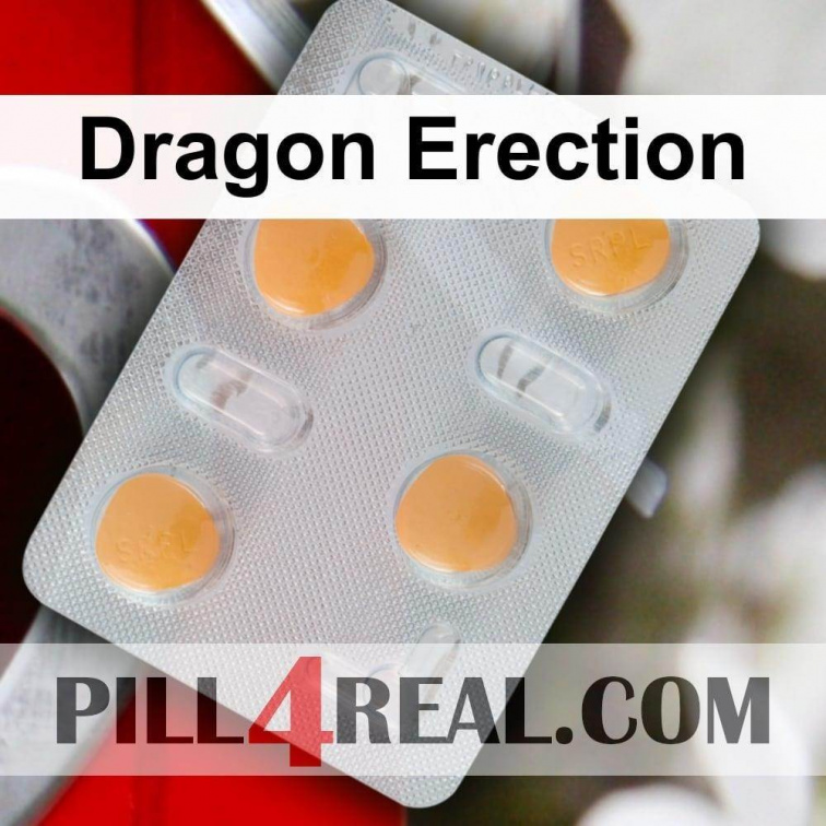 Dragon Erection 550