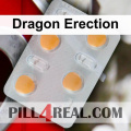 Dragon Erection 550