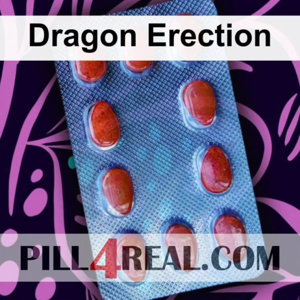 Dragon Erection 559
