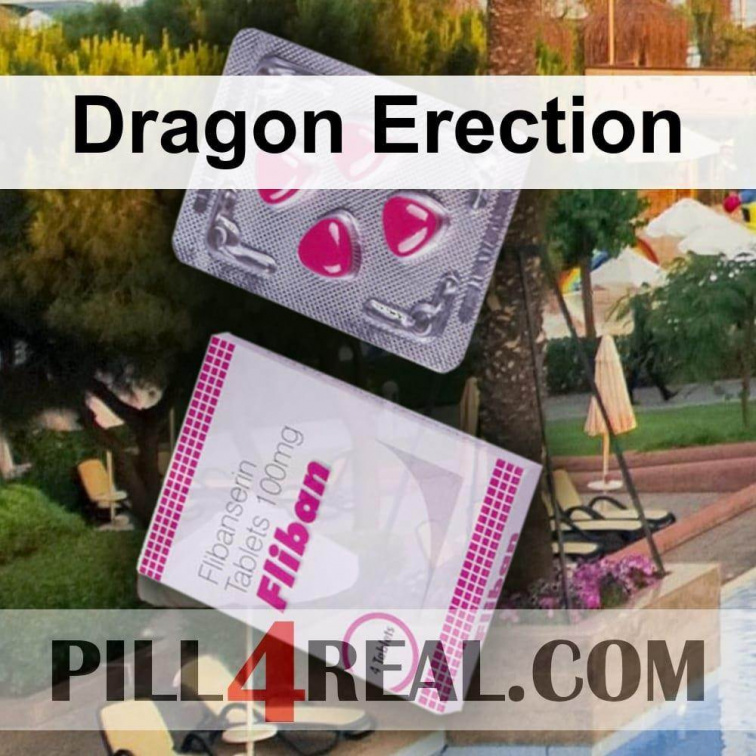 Dragon Erection 588