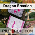 Dragon Erection 588