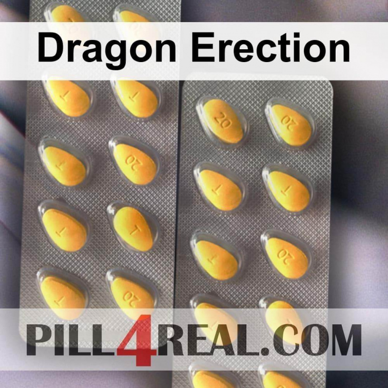 Dragon Erection 609