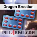 Dragon Erection 708