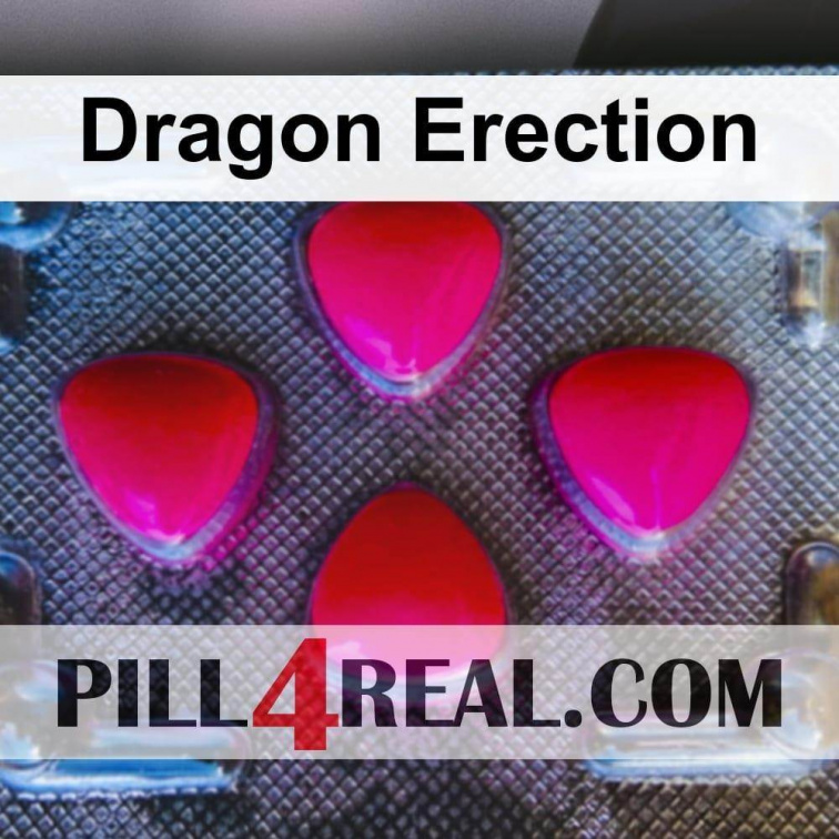 Dragon Erection 725