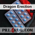 Dragon Erection 727