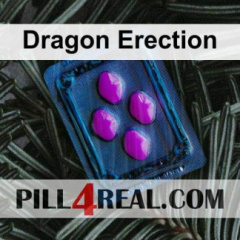 Dragon Erection 764