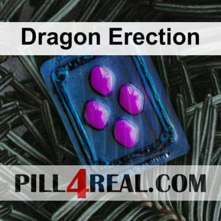 Dragon Erection 764