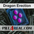 Dragon Erection 764