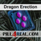 Dragon Erection 764