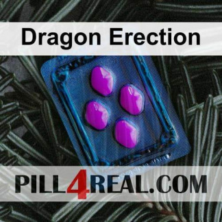 Dragon Erection 764