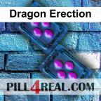 Dragon Erection 821