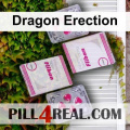 Dragon Erection 888