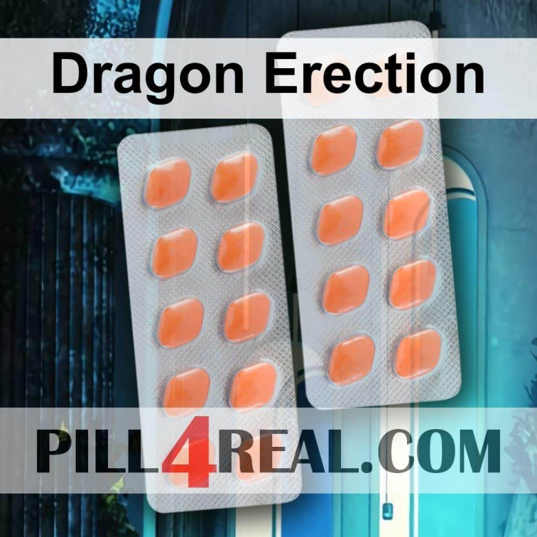 Dragon Erection 921