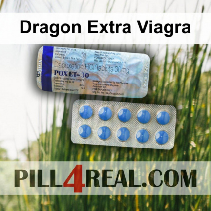 Dragon Extra Viagra 760