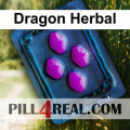 Dragon Herbal 238