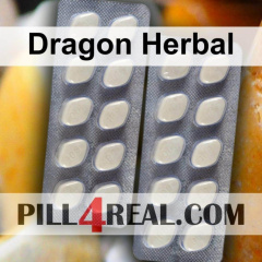 Dragon Herbal 313