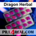 Dragon Herbal 521