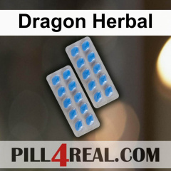 Dragon Herbal 626