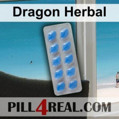 Dragon Herbal 942