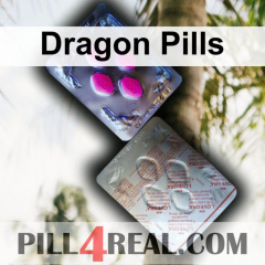 Dragon Pills 339
