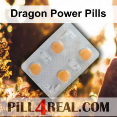 Dragon Power Pills 030