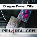 Dragon Power Pills 081