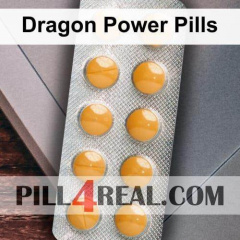 Dragon Power Pills 093