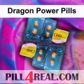 Dragon Power Pills 239