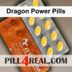 Dragon Power Pills 410