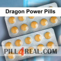 Dragon Power Pills 502