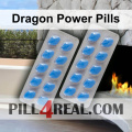 Dragon Power Pills 700