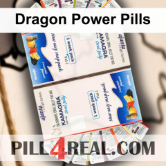 Dragon Power Pills 813