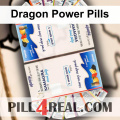 Dragon Power Pills 813