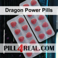 Dragon Power Pills 876