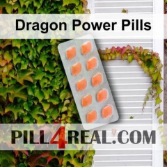 Dragon Power Pills 973
