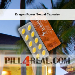 Dragon Power Sexual Capsules 723